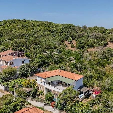 White * Ольбія